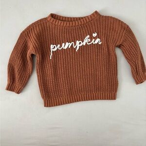 Old Navy Pumpkin Knit Sweater - Rust